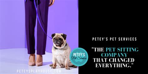 Best Pet Sitters in Lenexa, KS — Best Dog Walkers and Pet Sitters in