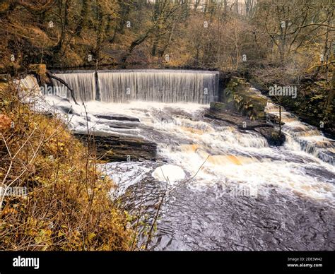 Birkacre Weir At Yarrow Valley Country Park Covers Over 300 Hectares