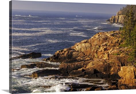 Otter Cliffs At Sunrise In Acadia National Park Maine Usa Wall Art