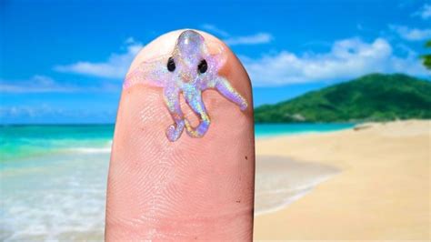 Cutest And Tiniest Sea Creatures Sea Creatures Creatures Sea