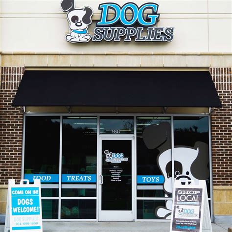 Pet Stores Denver Nc - Denver Nc Papillon Meet Taz A Pet For Adoption