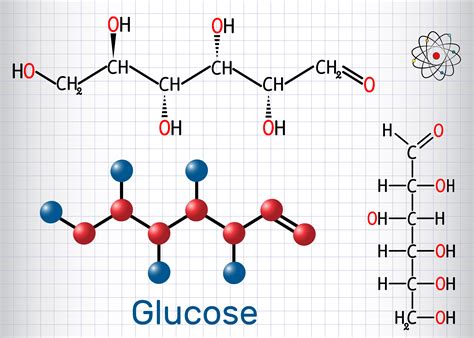 The main trigger for this process is insulin: Information about carbohydrates