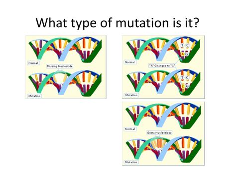 Ppt Mutations Powerpoint Presentation Free Download Id2664465