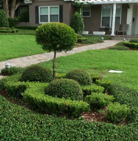 How to care for new sod in florida. gardenmonkey: Orlando Zoysia Sod Succeeds