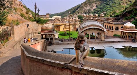 Galtaji Mandir Jaipur History Timings Entry Fee Darshan Sevalocation