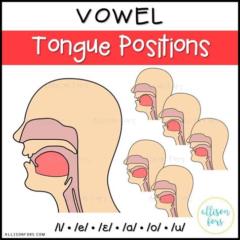 Vowel Tongue Positions Clip Art Speech Therapy Speech Therapy Free