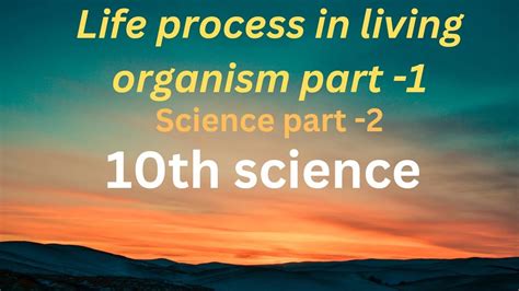 10th Sciencelife Process In Living Organism Part 1science Part 2