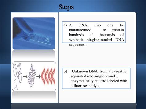 microarray dna and snp microarray