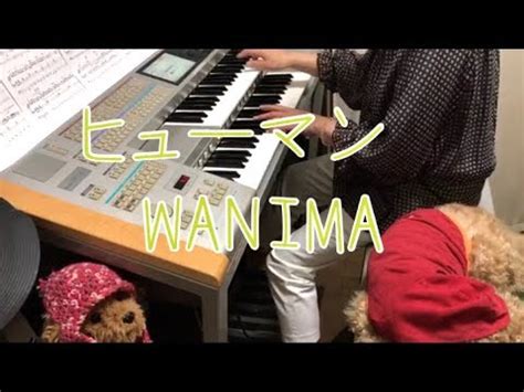 The site owner hides the web page description. ヒューマン WANIMA 「刑事ゆがみ」主題歌 エレクトーン演奏 - YouTube
