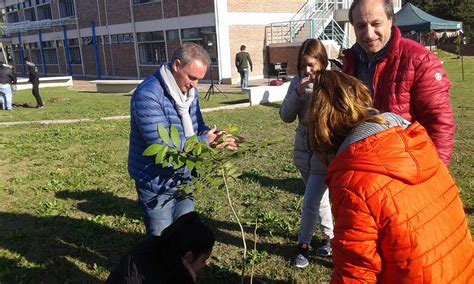 En El Día Del Medioambiente Se Plantaron 29 árboles En Un Patio Escolar