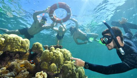Cairns And Great Barrier Reef Shows Support For China