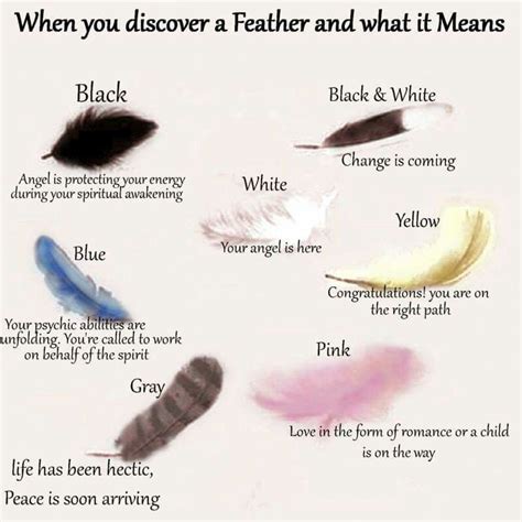 Finding a black and white feather meaning. Feather color meanings | Feather color meaning, White ...