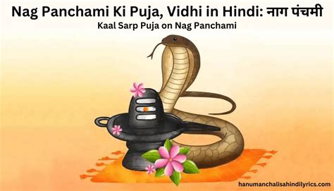Nag Panchami Ki Puja Vidhi in Hindi नग पचम