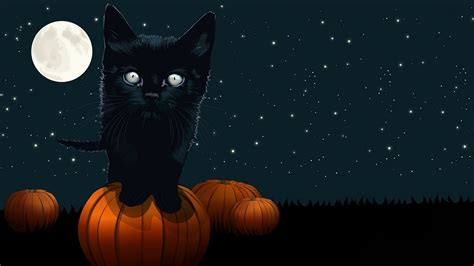 Halloween Cat Wallpaper 1113488