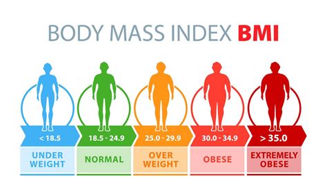 Smart Bmi Calculator Body Fat Mass Calculator