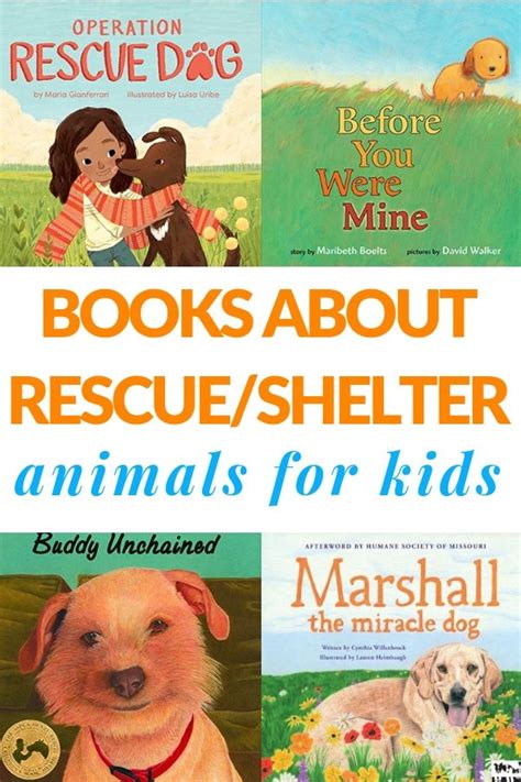 Helping Kids Understand About Shelter And Rescue Animals Animals For