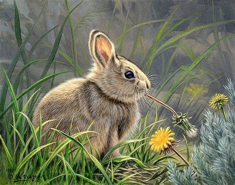 Spring Cottontail By Paul Krapf Rabbit Painting Rabbit Art Animal