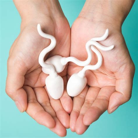 What Healthy Sperm Should Look Like Signs Of Healthy Sperm
