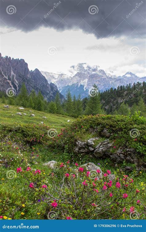 Incredible Nature Landscape In Dolomites Alps Spring Green Blooming