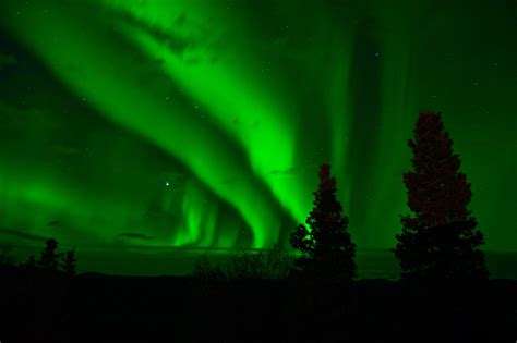 Free Images Atmosphere Green Aurora Borealis Yukon Northern