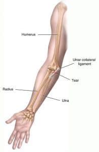 Ulnar Collateral Ligament Rehabilitation