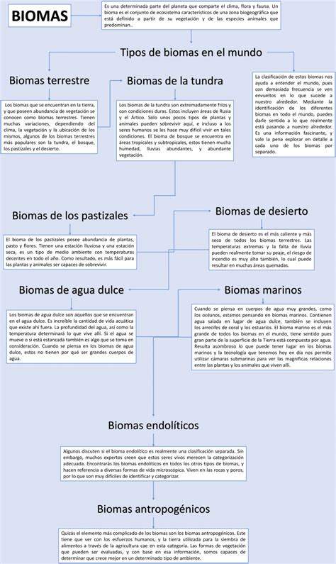 Mapas Conceptuales De Los Biomas Descargar The Best Porn Website