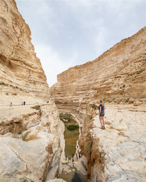 Amazing Things To Do In The Negev Desert Israel — Walk My World