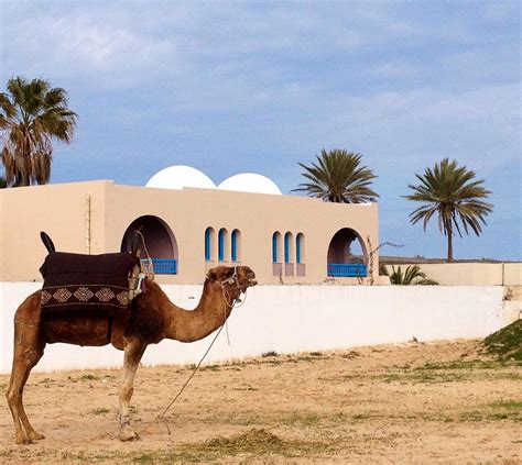 Decouverte Sud Tunisien Djerba Island All You Need To Know Before