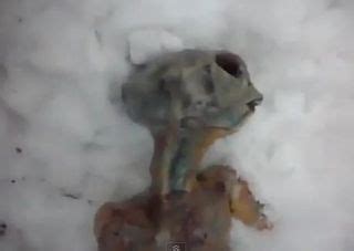 Viral Video Of Alien In Siberia A Convincing Fake Live Science