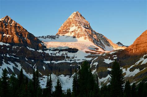 Matterhorn Of The Rockies Mt Assiniboine Alpenglow British Colombia