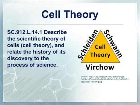 What Is Celltheory Cell Theory Timeline Timetoast Timelines