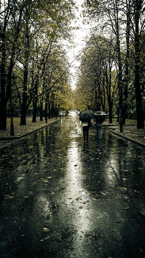 Kharkiv Autumn Autumn Rain Rain Days Rain Photography