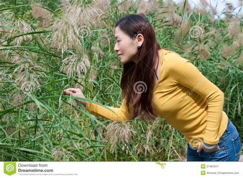 East Asian Woman Bending Over Picking Flowers Stock Image