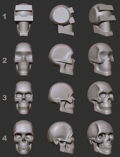 Artstation Skull For Reference D Asset Hector Moran Hec