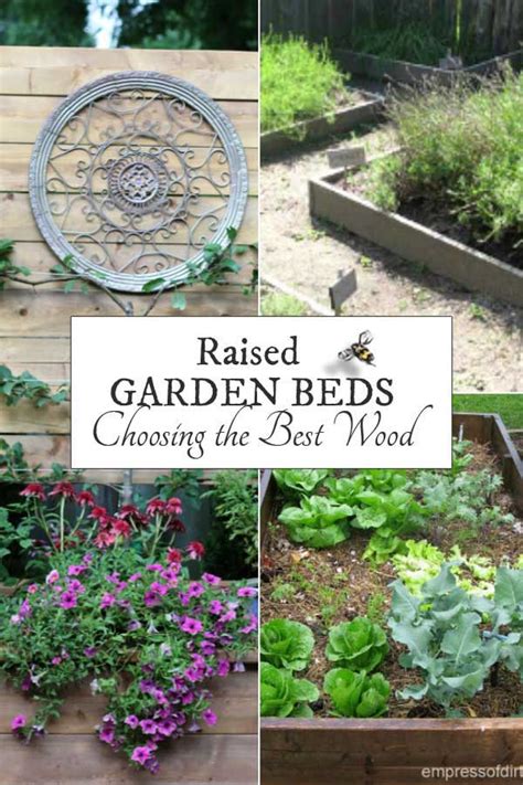 Best Wood For Raised Garden Beds Printable Empress Of Dirt
