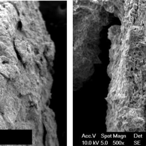 Sem Photos Of Dried Vermiculite Based Mgso 4 Cacl 2 Composite Download Scientific Diagram