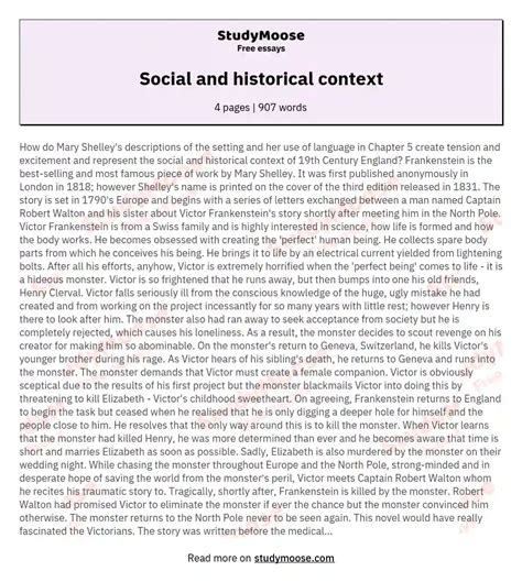 Social And Historical Context Free Essay Example