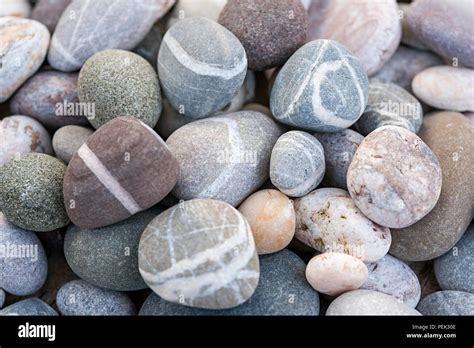 Round Beach Pebbles Or Smooth Rocks With Various Colors And Shapes Of