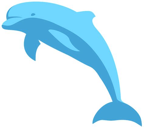 Blue Dolphin Clipart Free Download Transparent Png Creazilla