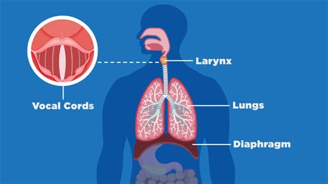 What Happens Inside Your Body When You Hiccup