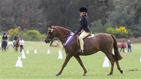 Pony Clubs Dressage Tests Captivate Crowd The Advocate Burnie Tas