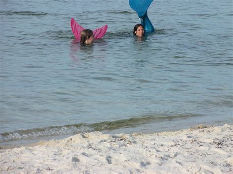 Mermaids 2 Mermaids Spotted At Pensacola Beach