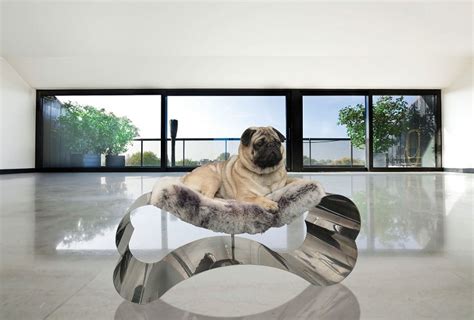 Fancy Dog Beds Comfortable And Trendy Pet Furniture Ideas