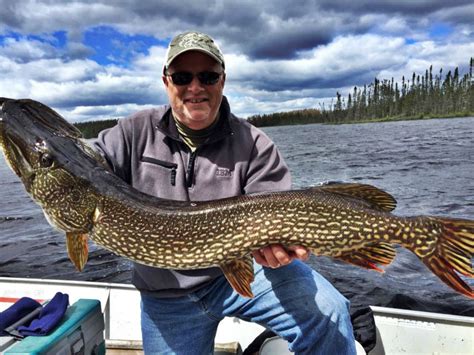 Red Lake Ontario Fishing Canada At Fly In Outposts For Northern Pike