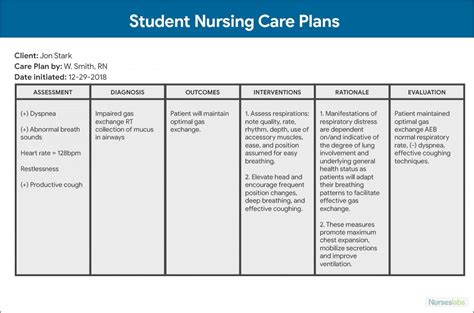 This nursing care plan tutorial has a free sample care plan resource that you can use to help develop your care plans for. Nursing Care Plan Examples For Dementia - Templates ...