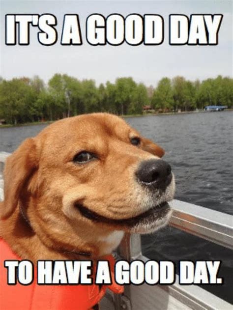 30 Have A Good Day Memes To Cheer You Up