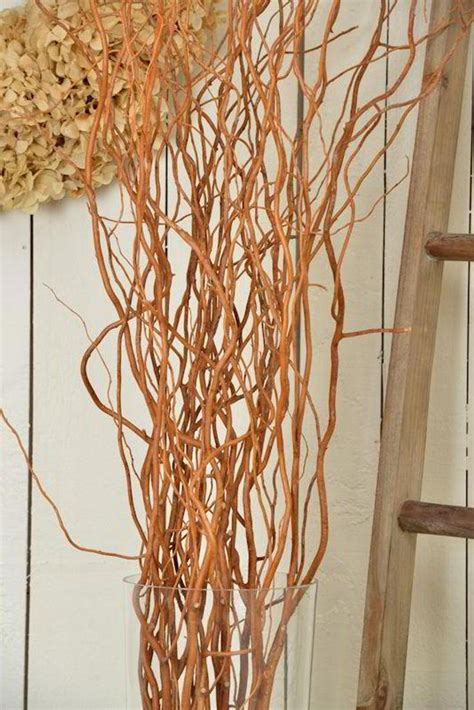 Natural Curly Willow Dried Curly Willow Golden Curly Etsy Curly