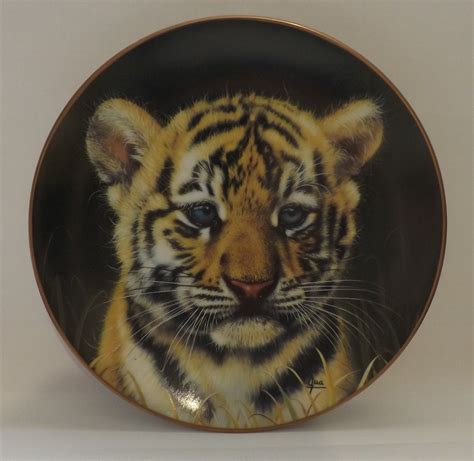8 cubs of the big cats plate collection princeton gallery by qua made of fine vintage porcelain