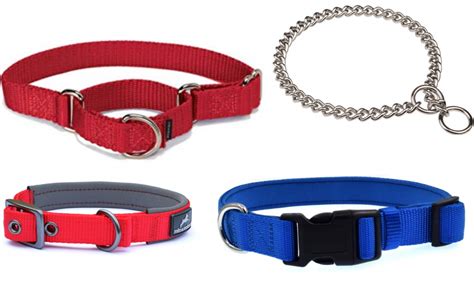 How to pair dogcare collar and remote. Different Types of Dog Collar - My Best Friend Dog Care