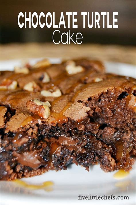 Last updated jun 11, 2021. Chocolate Turtle Cake | Recipe | Chocolate turtle cakes ...
